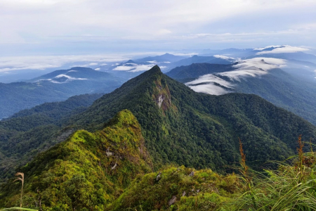 Membentang sepanjang ratusan kilometer, Pegunungan Meratus menjadi bukti pertemuan lempeng-lempeng bumi purba. (Foto doc. KEMENPAR)