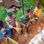 Danramil tanam pohon di Wonogiri