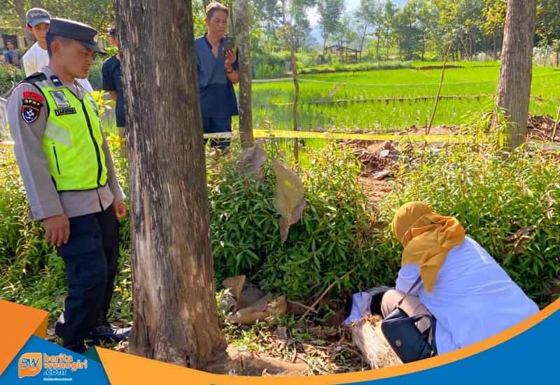 Lokasi penemuan bayi di area perkebunan Dusun Pengkol Jatiroto Wonogiri