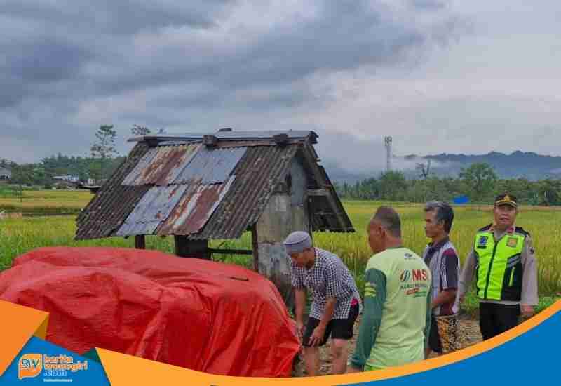 Petani Wonogiri meninggal saat panen: terakhir berteduh di gubuk saat hujan turun