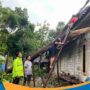 Pohon pete menimpa atap rumah warga di Desa Kerjo Lor Wonogiri.