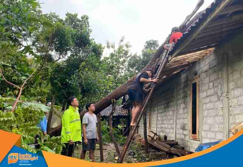 Pohon pete menimpa atap rumah warga di Desa Kerjo Lor Wonogiri.