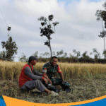 Babinsa Bulukerto Kopka Edi Purwanto berbincang dengan petani di sawah.