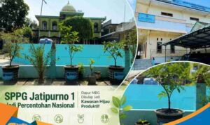 Deretan tanaman buah hitam black sapote dalam pot besar berjejer rapi di halaman SPPG Jatipurno 1.