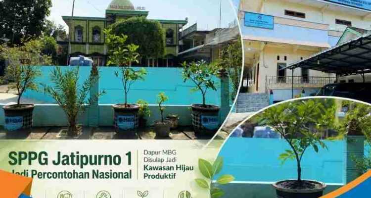 Deretan tanaman buah hitam black sapote dalam pot besar berjejer rapi di halaman SPPG Jatipurno 1.