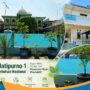 Deretan tanaman buah hitam black sapote dalam pot besar berjejer rapi di halaman SPPG Jatipurno 1.