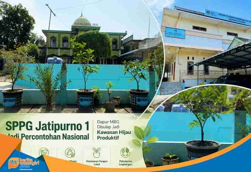 Deretan tanaman buah hitam black sapote dalam pot besar berjejer rapi di halaman SPPG Jatipurno 1.