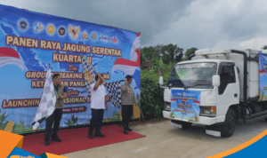 Pelepasan truk muatan jagung hasil panen raya menuju gudang Bulog.